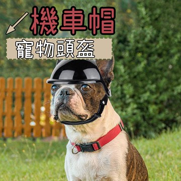 狗狗安全帽 貓咪安全帽 寵物機車帽 寵物頭盔 寵物狗狗機車 泰迪金毛柯基邊牧小狗中大型 機車帽 可露出耳朵安全帽