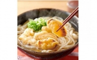 博多ごぼう天うどん　10食セット