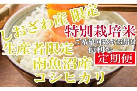 特別栽培 しおざわ産限定 生産者限定 南魚沼産コシヒカリ