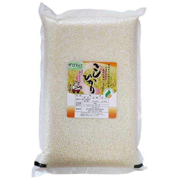 新米 令和5年  2023年産 石川県産 特別栽培米 ずばぬけ 白米5kg 精米 コシヒカリ 一等米 産地直送 ばんば