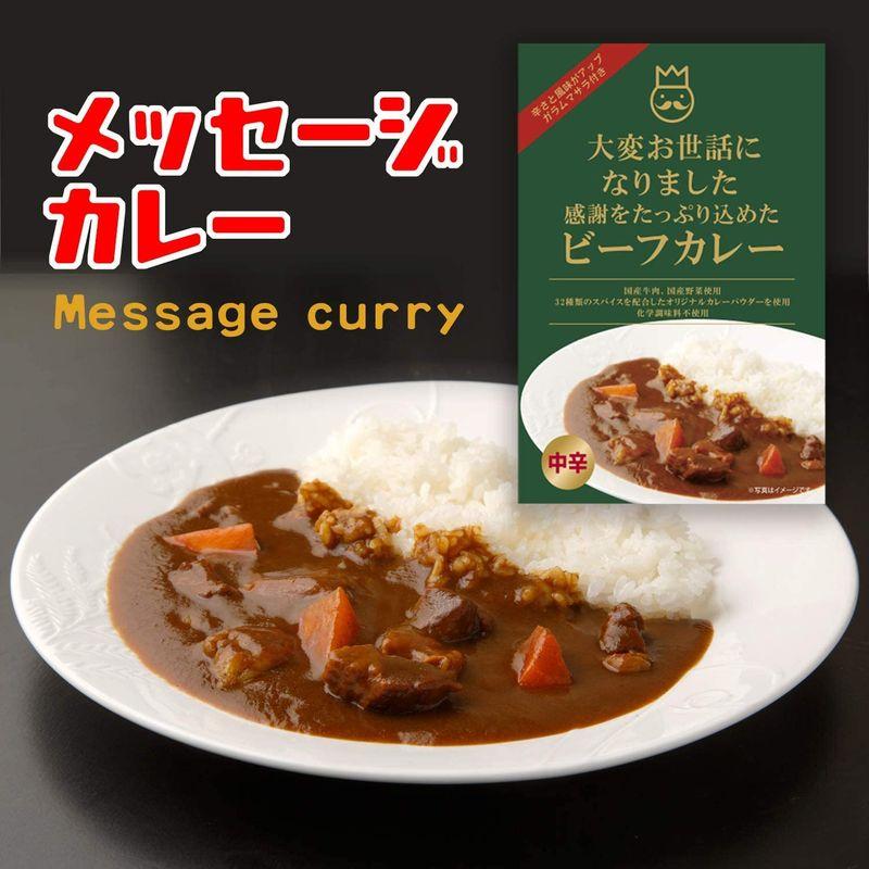 メッセージカレー「大変お世話になりました」×6個（中辛）レトルト