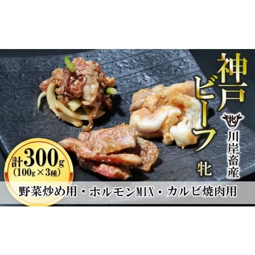 ふるさと納税 兵庫県 西脇市 焼き肉用 味付け肉 3種 計300g（100g×3種） 川岸畜産(09-27)