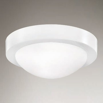 燈泡式造型玻璃吸頂燈F85-09-K4819