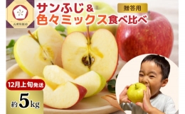 りんご青森産約5kg津軽から完熟サンふじ＆色々ミックス贈答用