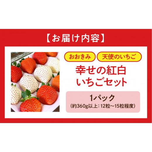 ふるさと納税 宮崎県 宮崎市 期間・数量限定 宮崎県産 イチゴ 幸せの紅白いちごセット おおきみ天使のいちご 1パック(約360g以上:12粒〜15粒程度)_M260-0…