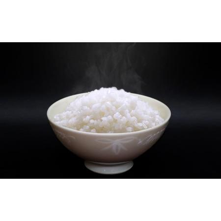 ふるさと納税 令和5年産 鬼北のお米「鬼米(おにまい)」5kg×2袋　こしひかり 愛媛 鬼北町 ブランド米 精米 愛媛県鬼北町