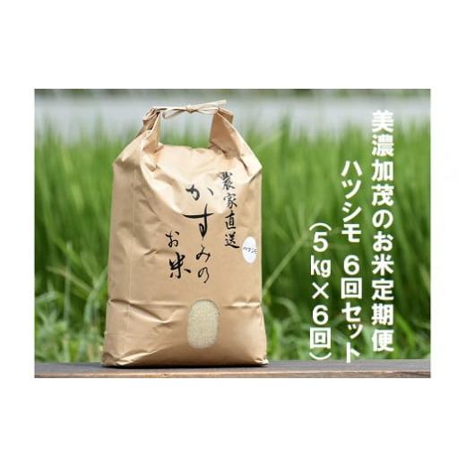 ふるさと納税 岐阜県 美濃加茂市 令和5年産米 美濃加茂の お米 定期便（毎月） 6回セット 5kg×6回 ハツシモ 春見ライス 米 コメ M41S03