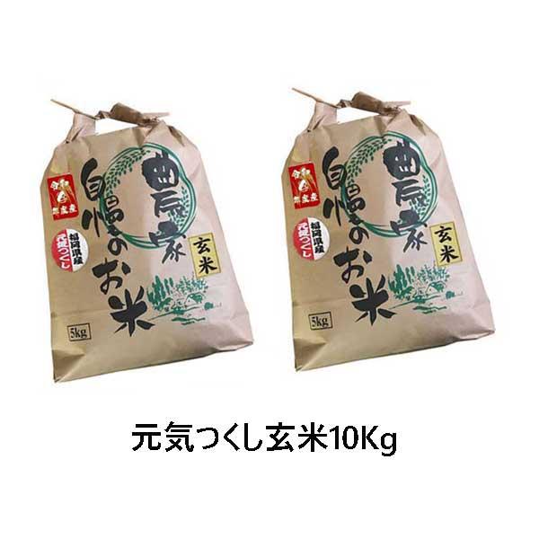 元気つくし 玄米 10kg (5kg×2袋)  令和5年産  福岡県産  農家直送  送料無料　新米