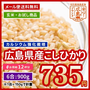 ポイント消化 お米 玄米 広島県産 カルゲン米 コシヒカリ 900g （450g×2）送料無料 お試し 米 令和5年産 ※ゆうパケット配送のため日時