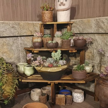 【萌妮】新款 轉角花架陽臺多肉花架實木多層階梯花架盆栽花架花