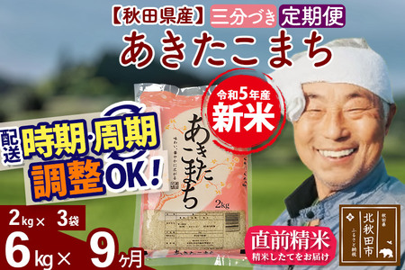 《定期便9ヶ月》＜新米＞秋田県産 あきたこまち 6kg(2kg小分け袋) 令和5年産 配送時期選べる 隔月お届けOK お米 おおもり