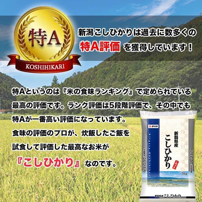 こしひかり 20kg 5kg×4 令和4年産 新潟県産 米 お米 白米 おこめ 精米 単一原料米 ブランド米 20キロ 送料無料 国内産 国産s