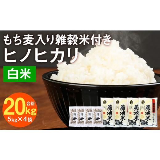 ふるさと納税 熊本県 菊池市 熊本県菊池産 ヒノヒカリ 精米 計20kg(5kg×4袋) もち麦入り雑穀米 計800g(200g×4袋)米 お米 低温保管 残留農薬ゼロ