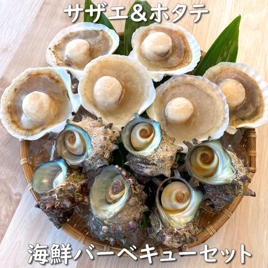 （送料無料）国産ホタテ（片貝）とサザエの海鮮バーベキューセット（冷凍）