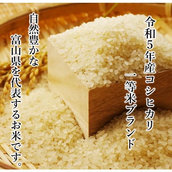 令和5年産 富山県朝日町産 こしひかり 5kg 白米 農家直送 送料無料