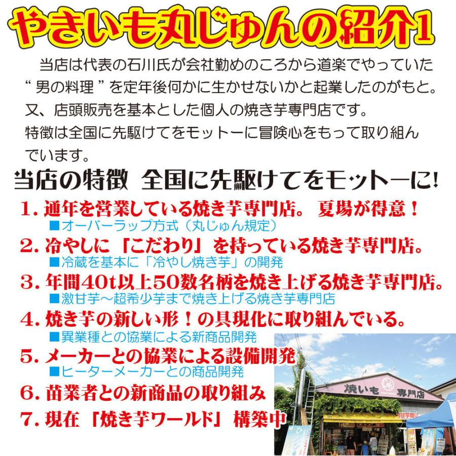 焼き芋 2種食べ比べ エレガンンス葵 吉四六 ねっとり甘い  冷蔵 冷やし焼き芋 ひえひえ君 1kg 送料無料