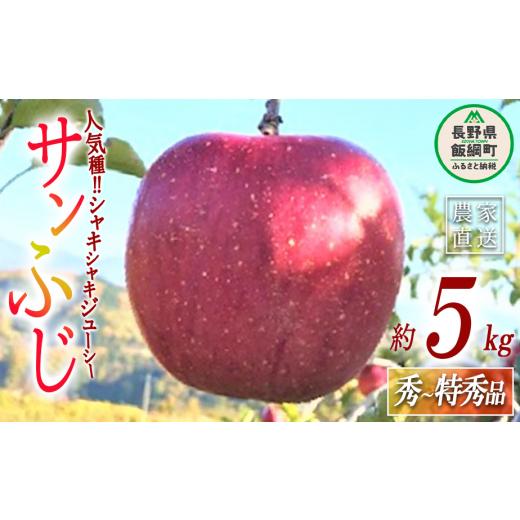 ふるさと納税 長野県 飯綱町 りんご サンふじ 秀 〜 特秀 5kg ファームトヤ 沖縄県への配送不可 2023年11月中旬頃から2023年12月下旬頃まで順次発送予定 令和5…