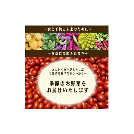 ふるさと納税 山口県 下関市 旬 の 野菜 詰め合わせ セット 品 お楽しみ 産地直送 農家直送 季節 春 夏 秋 冬 露地野菜 やさい サラダ 農薬 化学肥料 不…