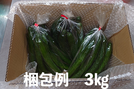 新鮮きゅうり3kg