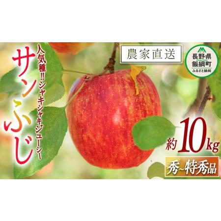 ふるさと納税 りんご サンふじ 秀 〜 特秀 10kg 渡辺農園 2023年12月上旬頃から2024年1月中旬頃まで順次発送予定 令和5年度収穫分 エコファーマ.. 長野県飯綱町