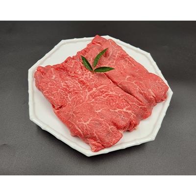 ふるさと納税 嬉野市 佐賀和牛赤身(モモ・肩)薄切り600g(300g×2)