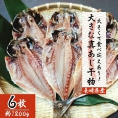 大きな真あじ干物　6枚(約1200g)