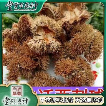 帶刺闆慄球 慄刺殻 風慄殻 闆粟刺粟子刺殻 自然曬幹250g-500g【原材批發】