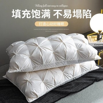 🌟臺灣出貨🌟希爾頓五星級酒店專用羽絲絨枕頭芯單人枕芯一對家用護頸椎助睡眠枕頭 乳膠枕頭 記憶枕頭 高枕頭