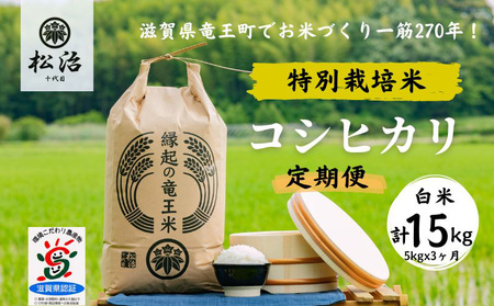 定期便 3ヶ月 コシヒカリ 白米 5kg 縁起の竜王米 特別栽培米 令和5年産  新米 ブランド米 白米 計 15kg 定期便 3回 おこめ ご飯 270年続く お米 農家 ライス 環境 こだわり米 農家直送 ギフト 国産 滋賀県 竜王町 ふるさと納税