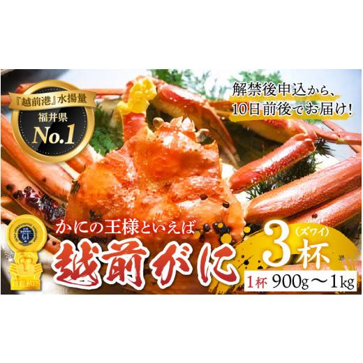 ふるさと納税 福井県 鯖江市 福井冬の味覚！越前がに 3杯（900g〜1.0kg）[P-00906]