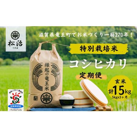 ふるさと納税 定期便 3ヶ月 コシヒカリ 玄米 5kg 縁起の竜王米 特別栽培米 令和5年産  新米 ブランド米 玄米 計 15kg 定期便 3回 おこめ ご飯 .. 滋賀県竜王町