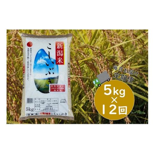 ふるさと納税 新潟県 見附市 令和5年産 新潟県産 こしいぶき  5kg（精米）