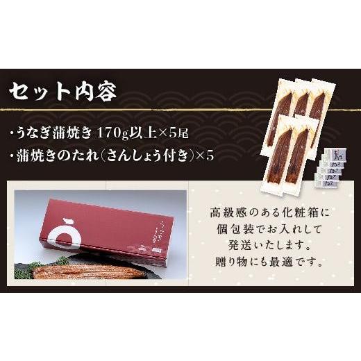 ふるさと納税 鹿児島県 大崎町 くすだ屋の鰻5尾_170gx5