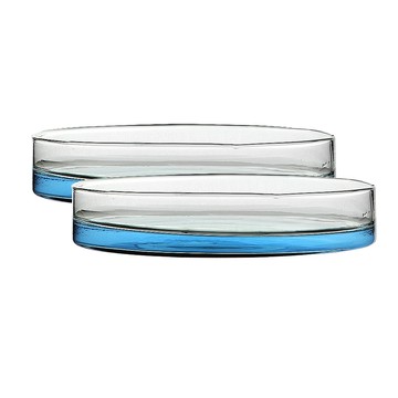 其它工具 【職人實驗】185-CCD90 玻璃細胞培養皿90mm 玻璃水槽 種子培養皿 植物培養皿 化學生物課 玻璃培養皿