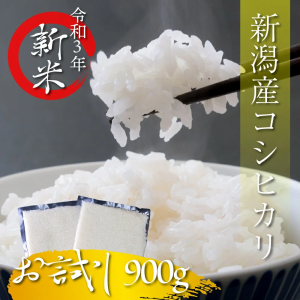 令和4年産 新潟こしひかり 900g 真空パック 送料無料 産地直送 白米 精米 新潟 コシヒカリ 新米 新潟県産 お米 ギフト 冷飯が