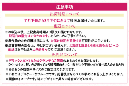 あまおう 1パック ＆ ふくや味の明太子 290g 明太子 惣菜 あまおう イチゴ いちご スイーツ 果物 フルーツ 送料無料