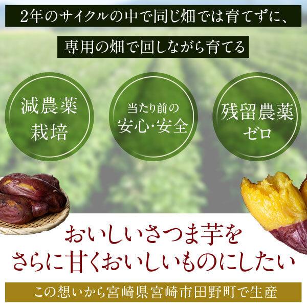 美宝蜜 1kg 500g×2袋 冷凍 焼き芋 やきいも 紅はるか サツマイモ 無添加 お菓子