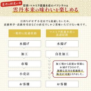 ふるさと納税  極上 エゾバフンウニ 折詰 100g C：24年1月下旬〜3月下旬迄　 北海道登別市