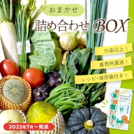 直売所直送「京都・京丹後産 季節の野菜・果物」お任せ詰め合わせBOX（10品以上）（2022年7月～発送） 食べ方・レシピ・保存袋付き