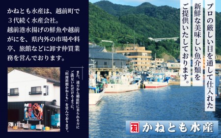 越前がに本場の越前町からお届け！浜茹で紅ずわいがに 約900g × 2杯 食べ方しおり付 [e14-x001_12]