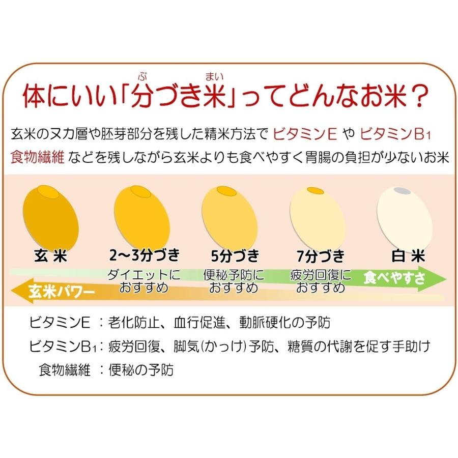 朱鷺と暮らす郷こしひかり 玄米量3kg 令和3年産