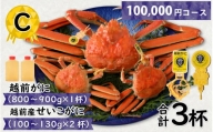 Ｃ　越前がに(越前産ズワイガニ・オス)800～900ｇ×１杯   越前産せいこがに(越前産ズワイガニ・メス)100～130ｇ×２杯　合計3個 [J-096011_03]