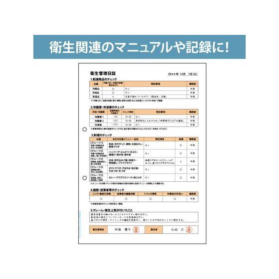 マルチプリンタ帳票 抗菌紙 A4 白紙 2穴 50枚　ヒサゴ　BPK2001