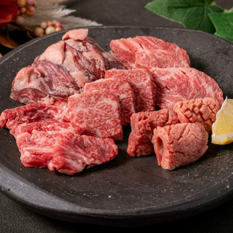 焼肉セット 牛肉 黒毛和牛 A5ランク 焼き肉のタレ付き 国産 高級 肉 ギフト (5種盛(2〜3人前))