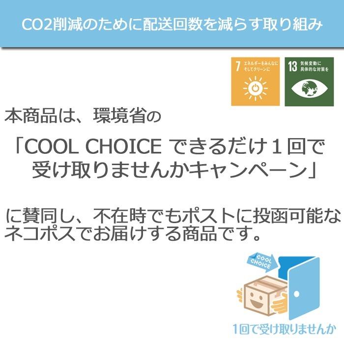 弟子屈（てしかが） 味噌 ラーメン  2食入 北海道 有名店 みそ お試し ご当地 生ラーメン 常温 さがみ屋 ポスト投函 送料無料