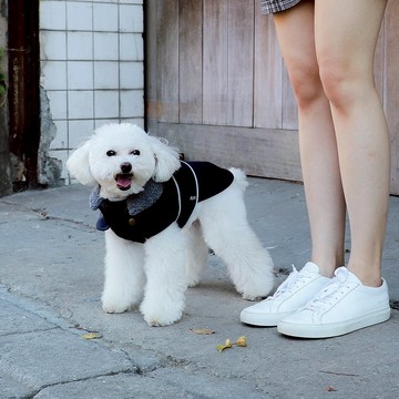 Brook系列 寵物機能外套-山岳藍