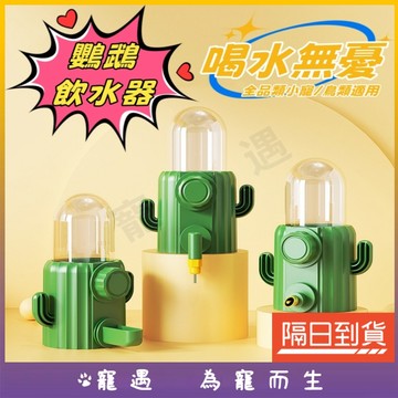 仙人掌自動飲水器 鸚鵡飲水器 小寵飲水器 自動飲水器 小寵水壺 鸚鵡飲水 鳥用飲水器 倉鼠飲水器 鳥用自動飲水器 鳥用品