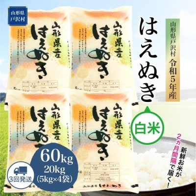 令和5年産 はえぬき  60kg 定期便 (20kg×3回) 山形県戸沢村