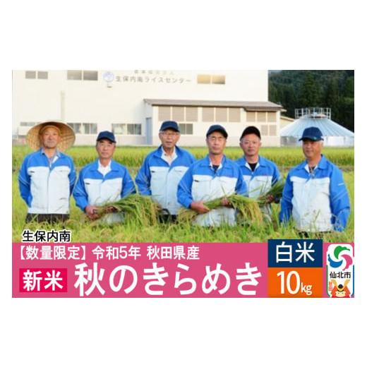 ふるさと納税 秋田県 仙北市 ＜新米＞ 秋のきらめき 10kg(10kg×1袋) 精米 令和5年産 秋田県 仙北市産 白米