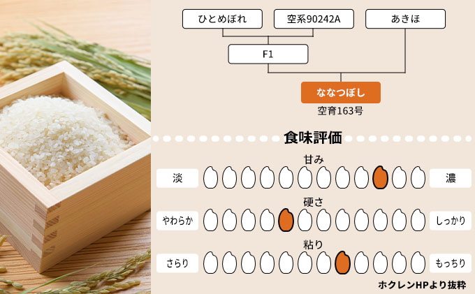 北海道赤平産 ななつぼし 10kg (5kg×2袋)  精米 米 北海道 定期便